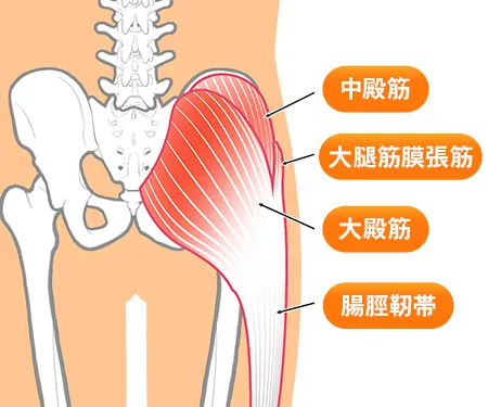 腰痛、骨盤のズレ